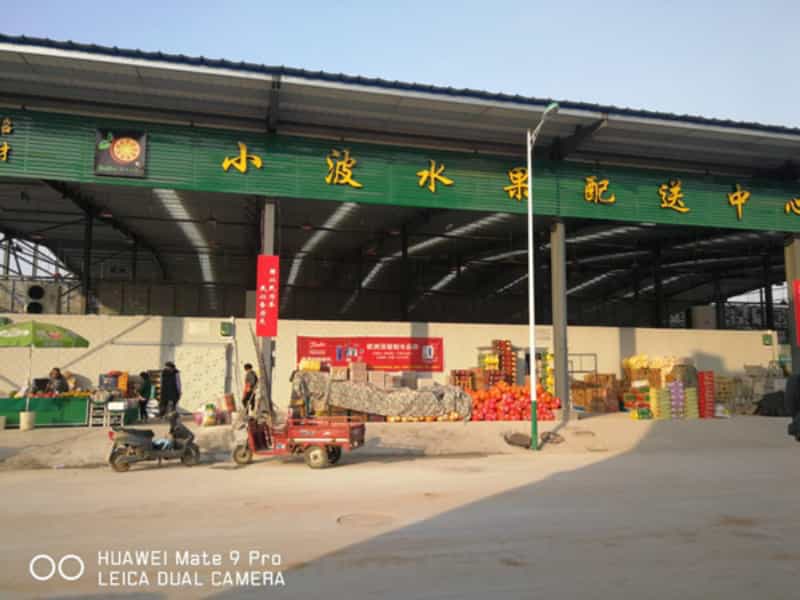 武陟精品水果、香蕉庫